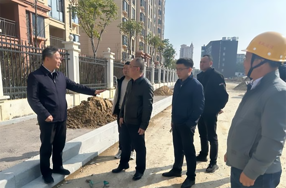 青山湖區(qū)黨委副書記、區(qū)長楊育星到利民路項目調(diào)研